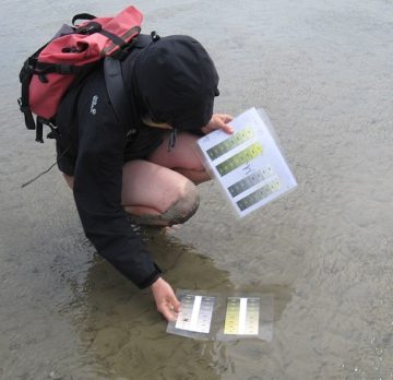 Eine Wissenschaftlerin ermittelt Sedimentfarben JKohlus-LKN-SH