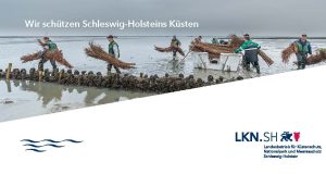Titelbild der LKN-Broschüre "Wir schützen Schleswig-Holsteins Küsten"