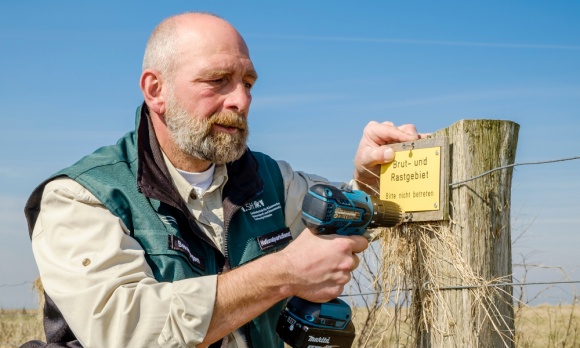 Ein Ranger markiert ein Brutgebiet im Nationalpark Wattenmeer.