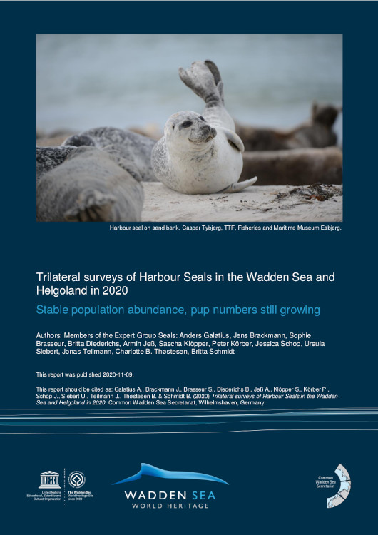 Harbour seal report 2020