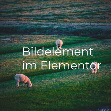 alternativtext Bildelement_Elementor