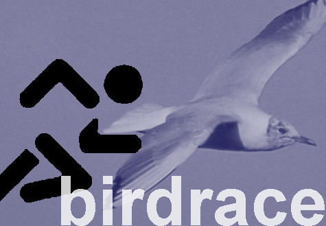 LogoBirdrace