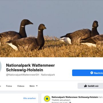 Faebook-Seite des Nationalparks Schleswig-Holsteinisches Wattenmeer