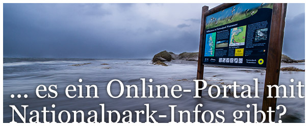 Online-Portal