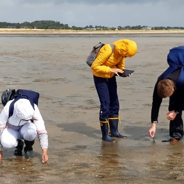 Jugendliche kartieren Seegras im Watt vor Föhr
