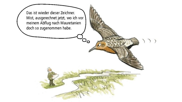 Cartoon Dicker Knutt