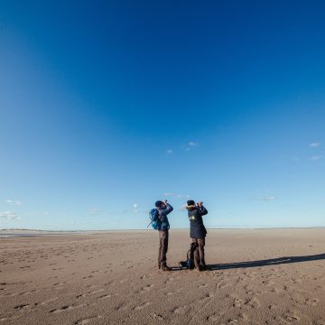 Zwei Nationalpark-Ranger bei der Vogelbeobachtung auf Norderney