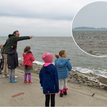 Die ersten Klassen der Grundschule Rheinstraße machen eine Vogelbeobachtung am Südstrand in Wilhelmshaven