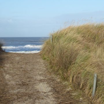 Dünenübergang zum Strand