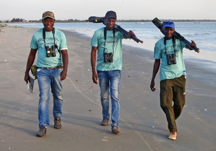 Drei Vogelzähler unterwegs bei der Internationalen Mittwinterzählung in Gambia