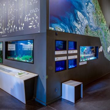Aquarien in der Ausstellung