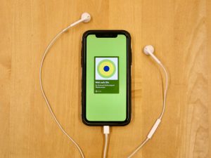Handy, mit Kopfhörern, auf dessen Bildschirm der Nationalpark-Podcast angezeigt wird