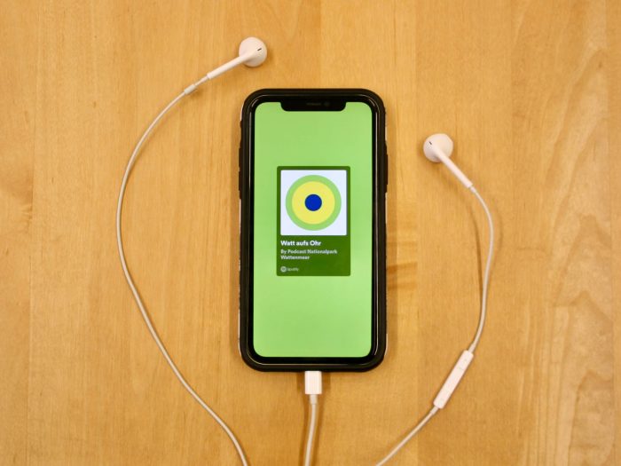 Handy, mit Kopfhörern, auf dessen Bildschirm der Nationalpark-Podcast angezeigt wird