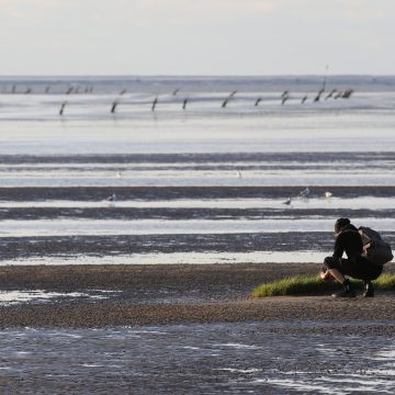 Mensch im Watt vor Cuxhaven