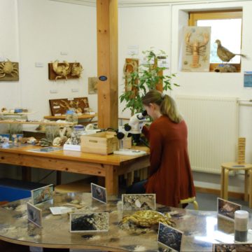 Ausstellung im Wattenhuus