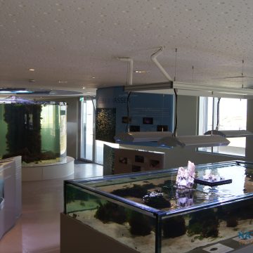 Aquariumbecken und Austellung