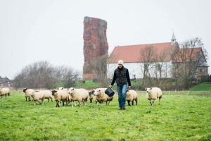 Schäfer mit Schafen auf der Weide - im HIntergrund eine alte Kirche.