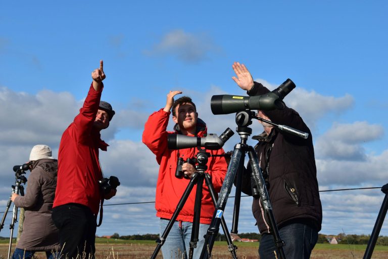 Zugvogel-Beobachtung mit dem Nationalpark-Haus Wittbülten Spiekeroog