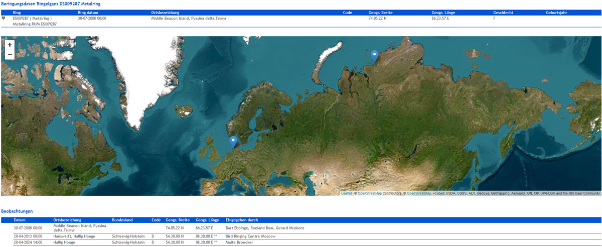 Screenshot einer Karte, die einen Ortspunkt im Norden Russlands zeigt.